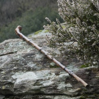 Photo de france - La randonnée du Mont Caroux